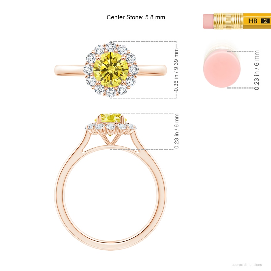 5.8mm AAAA Classic Round Fancy Intense Yellow Diamond Scalloped Halo Ring in Rose Gold ruler