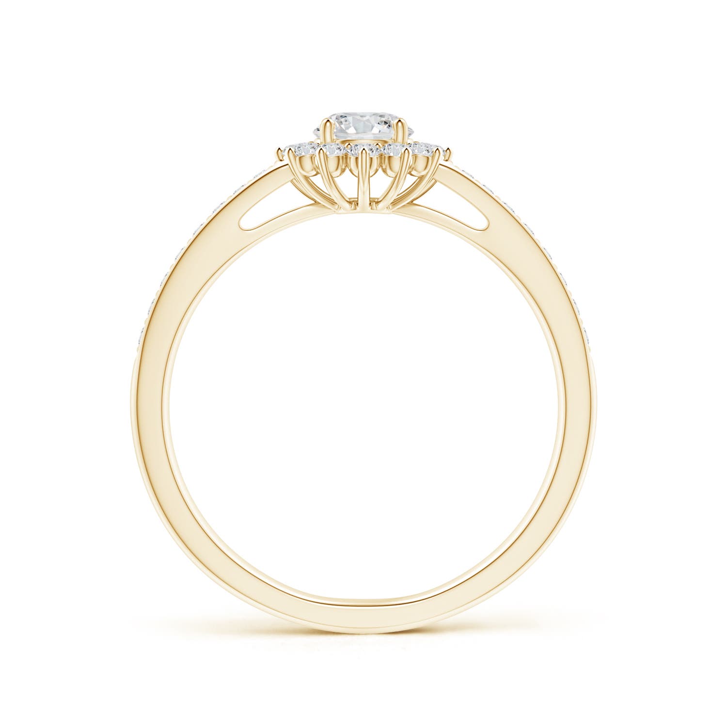 H, SI2 / 0.5 CT / 14 KT Yellow Gold