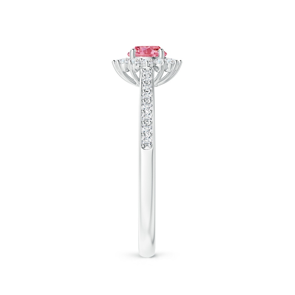 4.2mm AAAA Classic Floral Halo Round Fancy Intense Pink Diamond Ring with Accents in P950 Platinum side 299