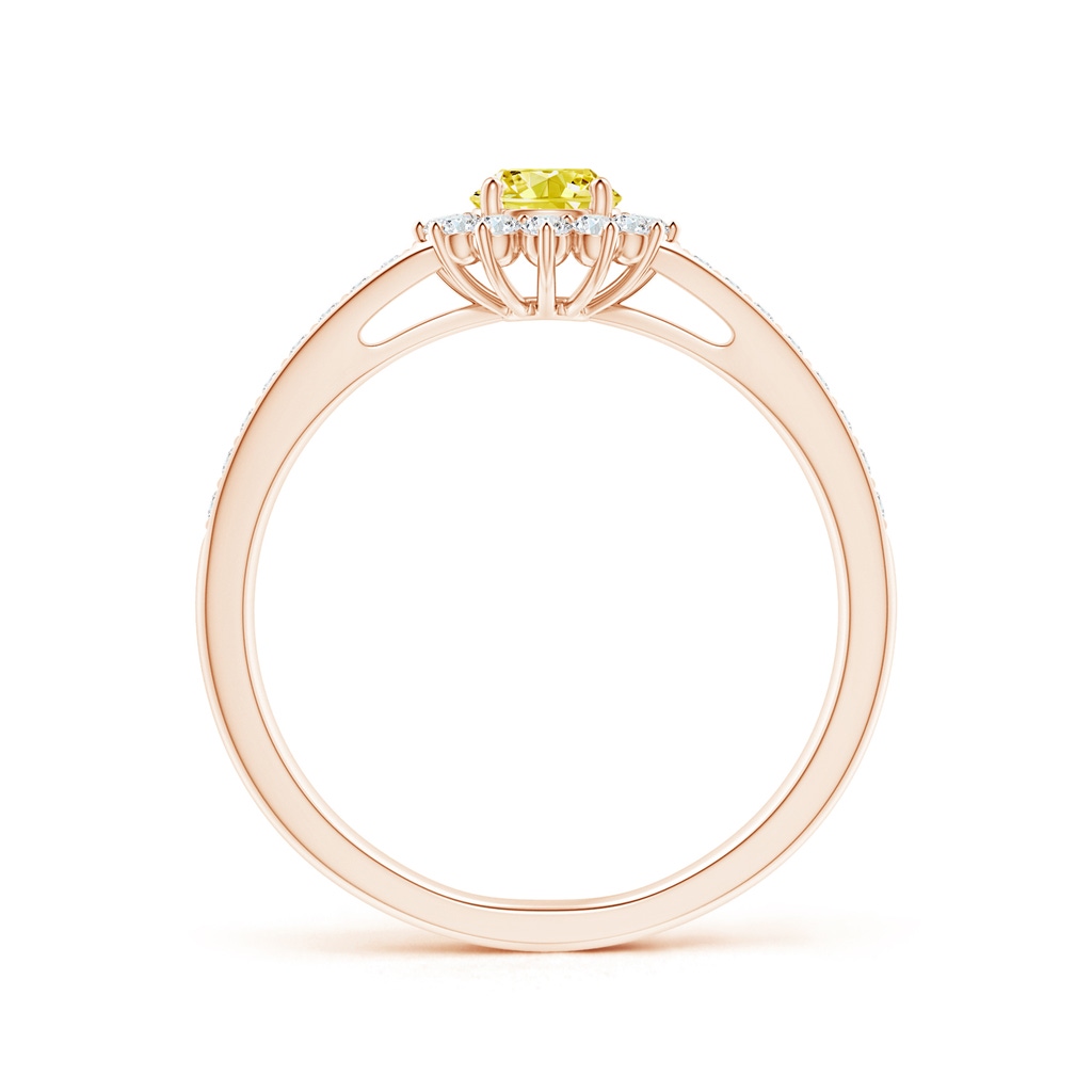 4.2mm AAAA Classic Floral Halo Round Fancy Intense Yellow Diamond Ring with Accents in Rose Gold - side 199