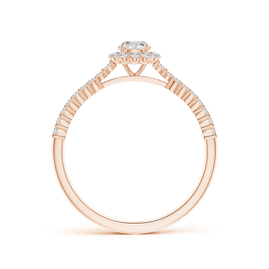 4.1mm IJI1I2 Classic Round Diamond Halo Ring with Accents in Rose Gold side-1