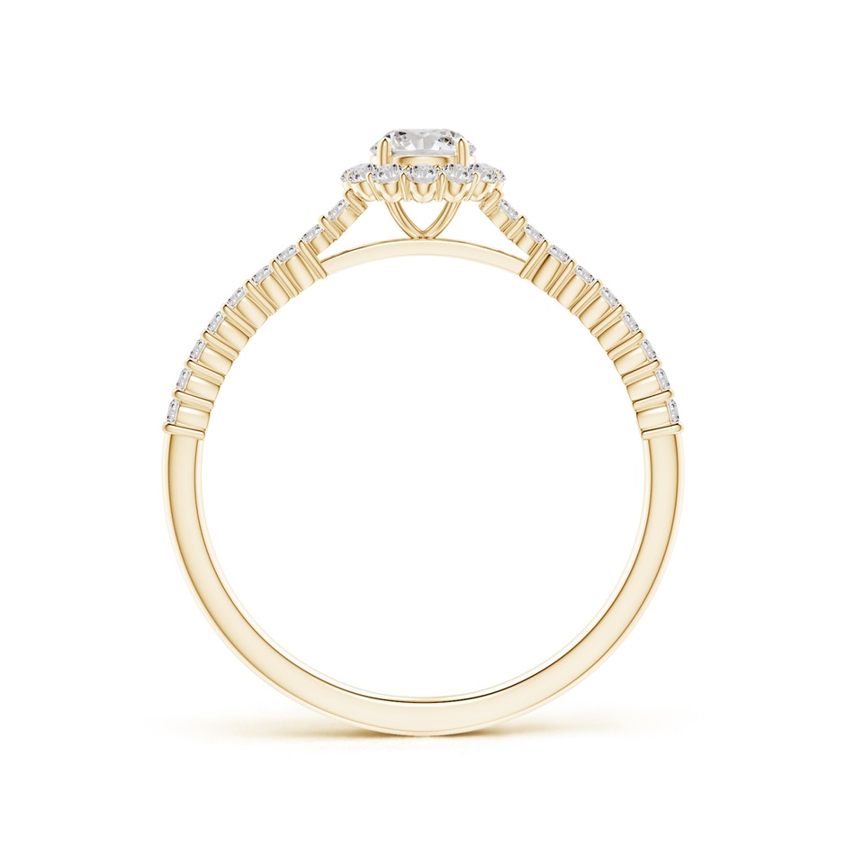 4.1mm IJI1I2 Classic Round Diamond Halo Ring with Accents in Yellow Gold side-1