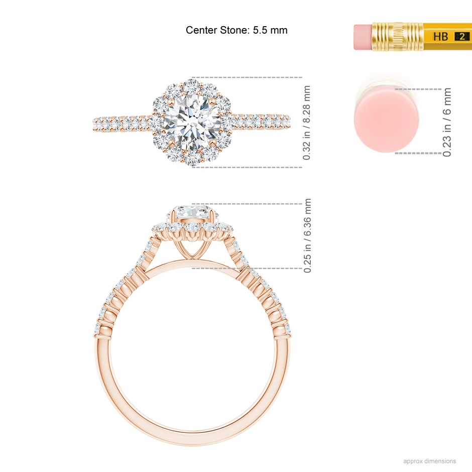 5.5mm GVS2 Classic Round Diamond Halo Ring with Accents in Rose Gold ruler