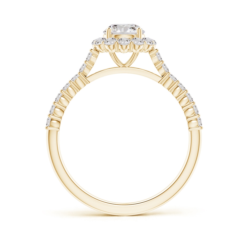 5.5mm IJI1I2 Classic Round Diamond Halo Ring with Accents in Yellow Gold side-1