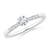 1/3 carat