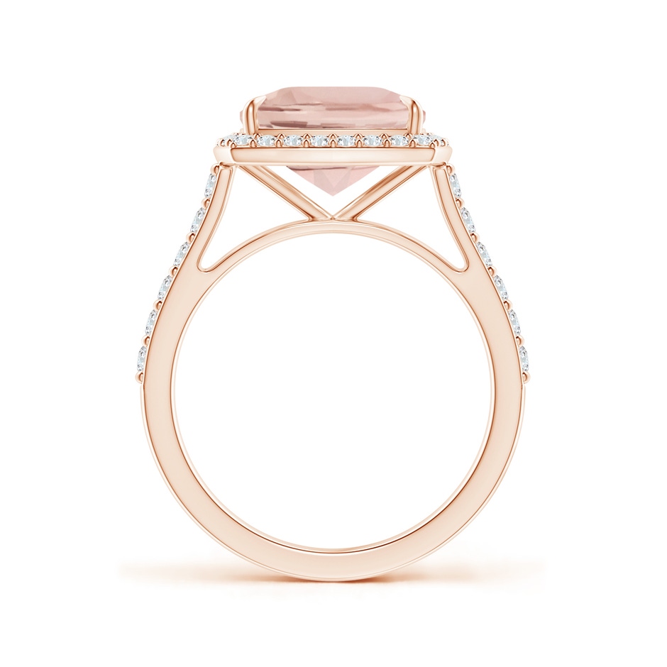 10x8mm AA East-West Cushion Morganite Cocktail Halo Ring in Rose Gold side 199