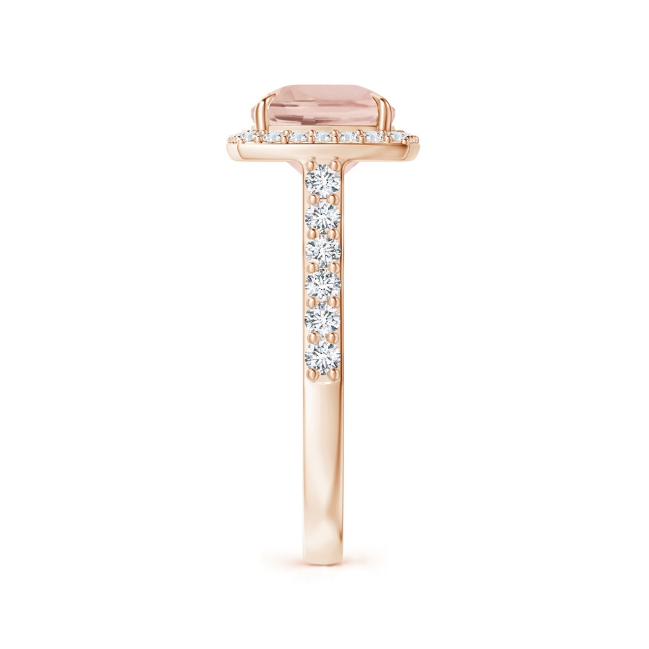 10x8mm AA East-West Cushion Morganite Cocktail Halo Ring in Rose Gold side 299