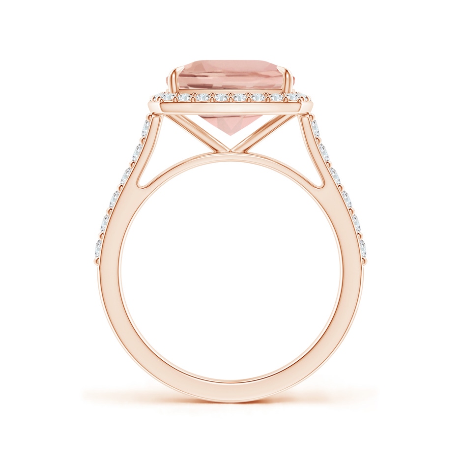 10x8mm AAA East-West Cushion Morganite Cocktail Halo Ring in Rose Gold side 199