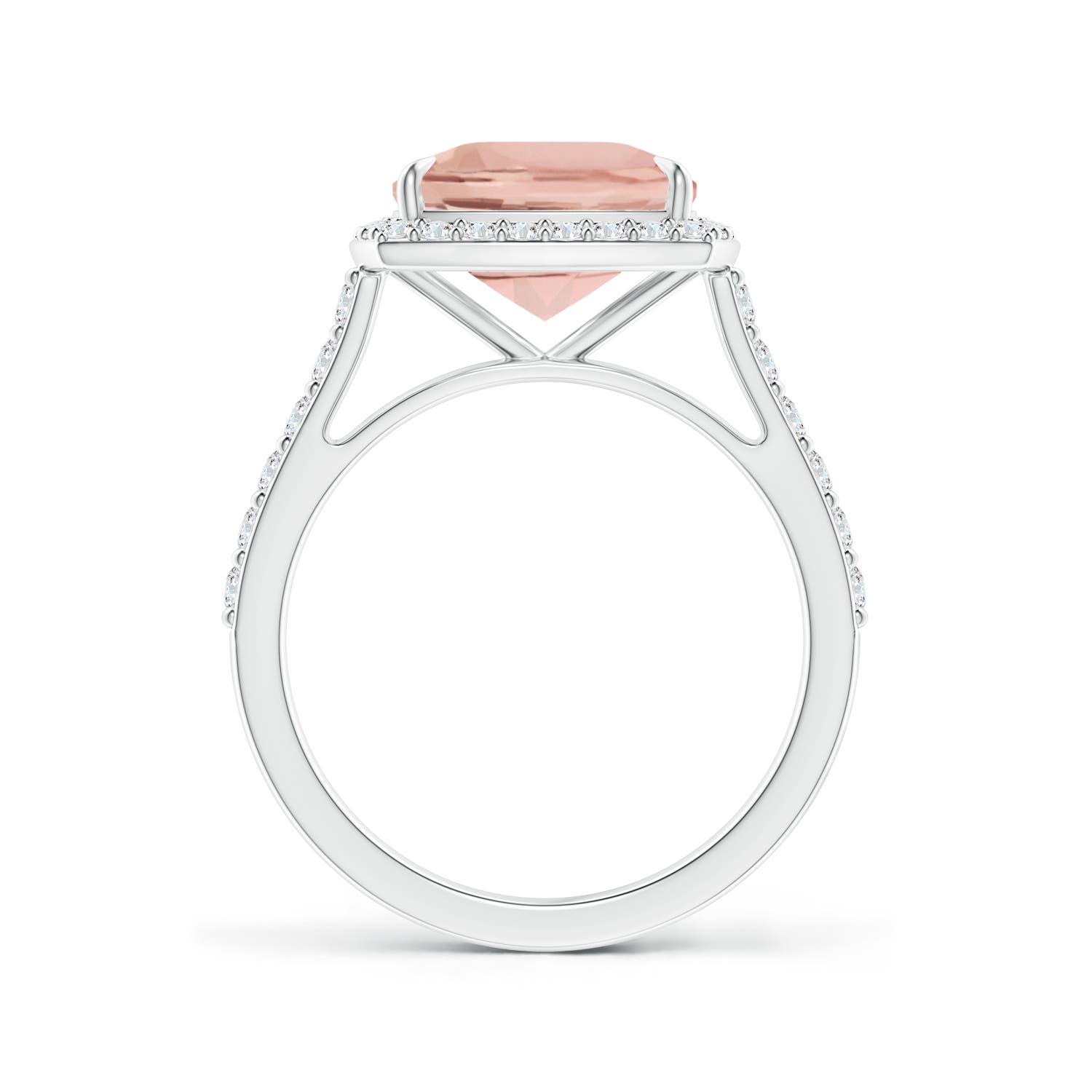 AAA - Morganite / 3.21 CT / 14 KT White Gold