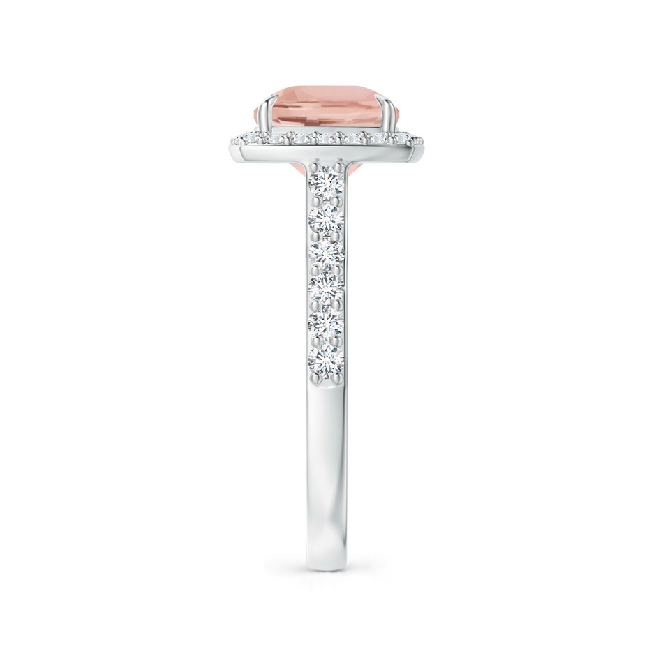 10x8mm AAA East-West Cushion Morganite Cocktail Halo Ring in White Gold side 299