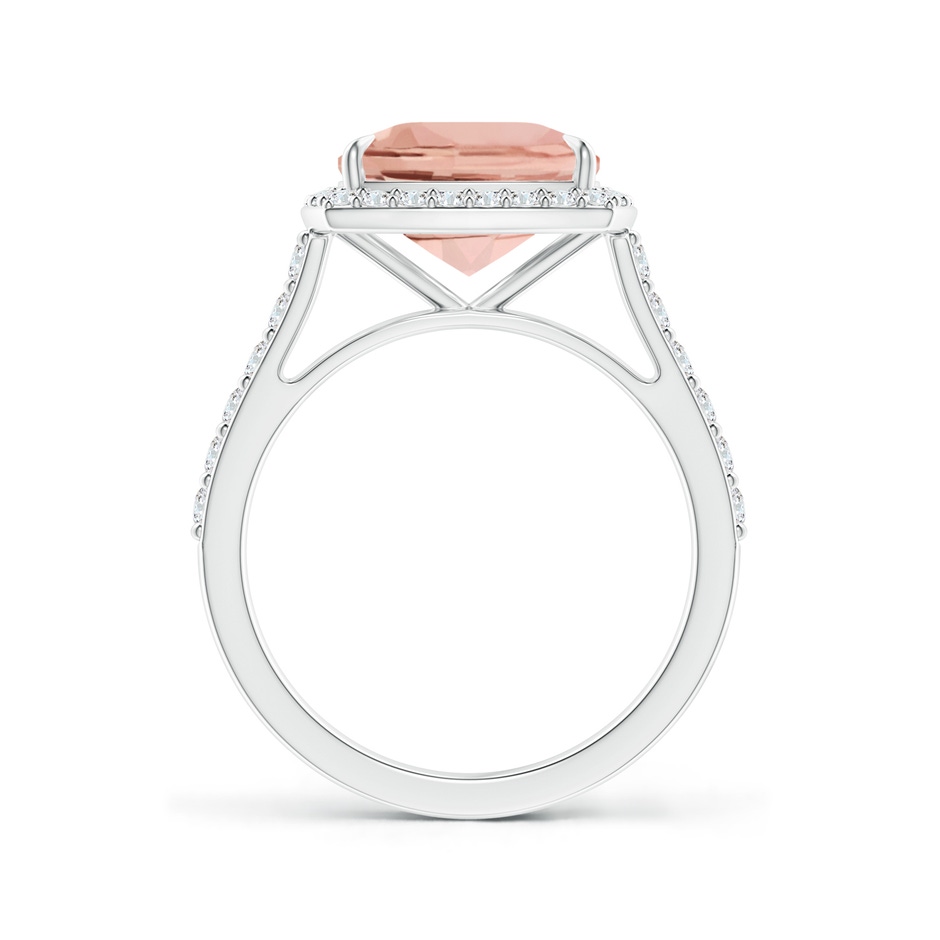 10x8mm AAAA East-West Cushion Morganite Cocktail Halo Ring in P950 Platinum side 199