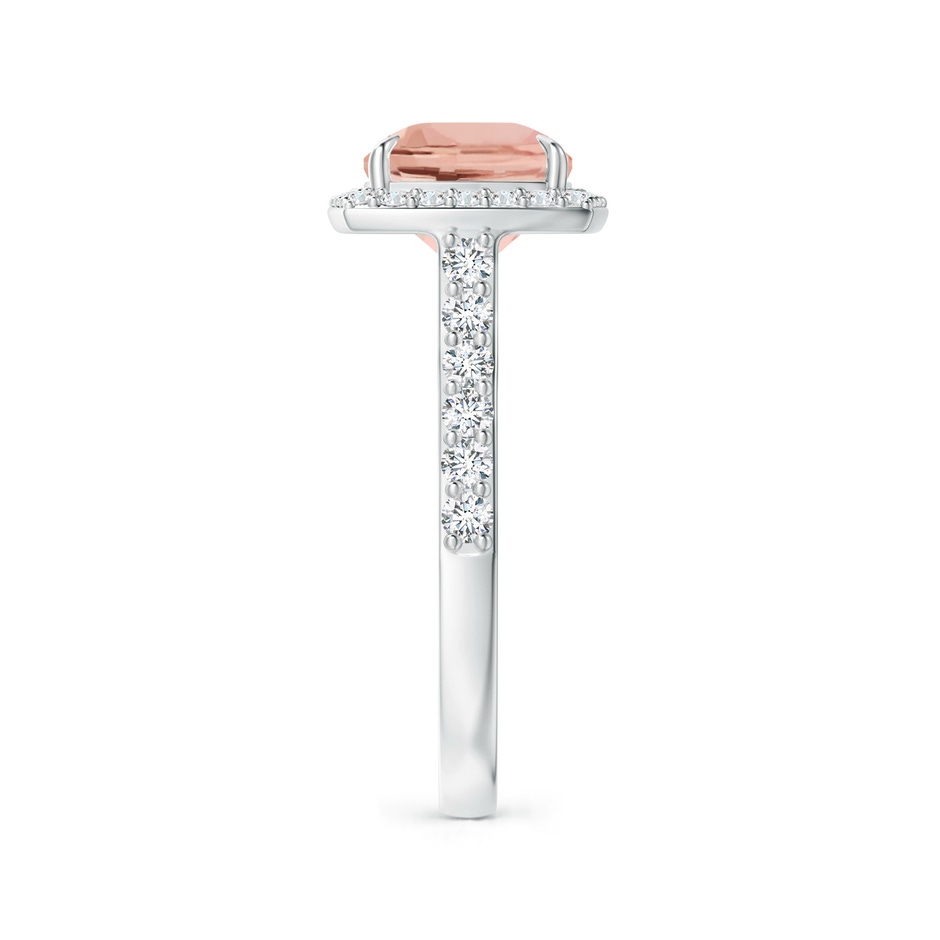 10x8mm AAAA East-West Cushion Morganite Cocktail Halo Ring in P950 Platinum side 299