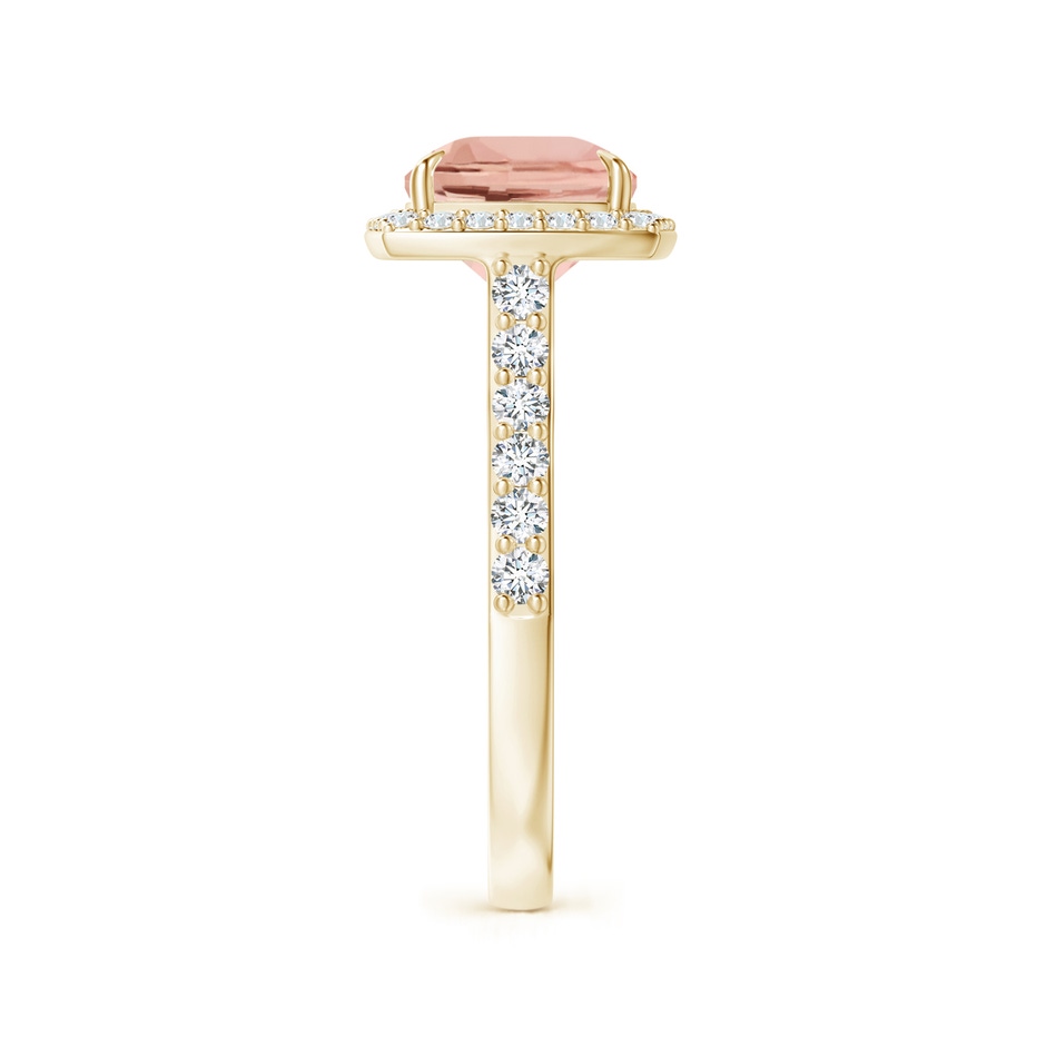 10x8mm AAAA East-West Cushion Morganite Cocktail Halo Ring in Yellow Gold side 299