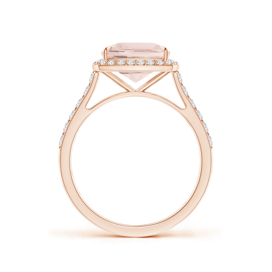 9x7mm A East-West Cushion Morganite Cocktail Halo Ring in Rose Gold side 199