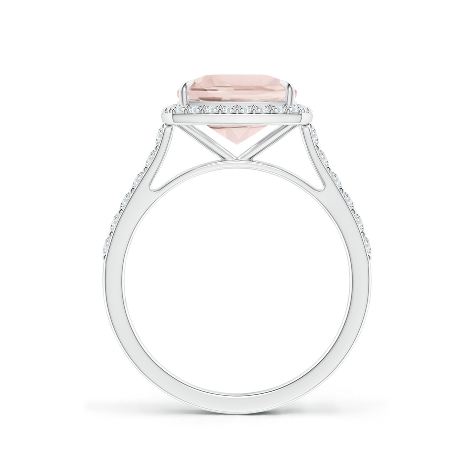 9x7mm A East-West Cushion Morganite Cocktail Halo Ring in White Gold side 199