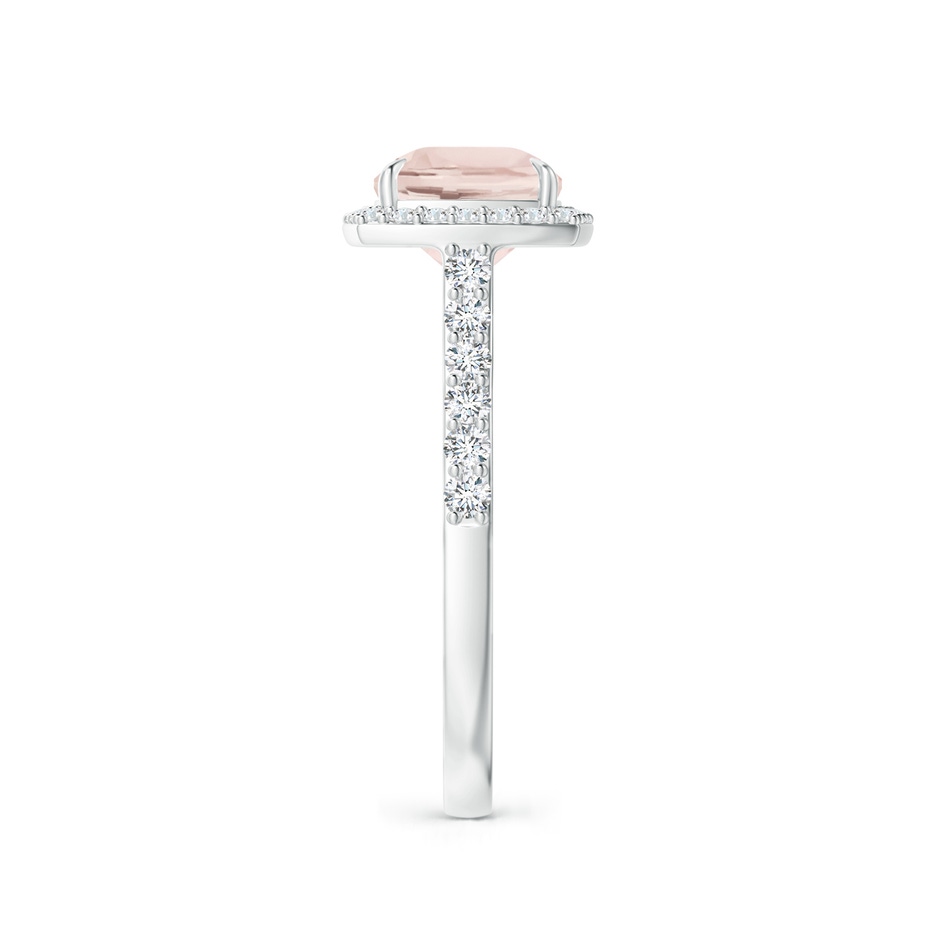 9x7mm A East-West Cushion Morganite Cocktail Halo Ring in White Gold side 299