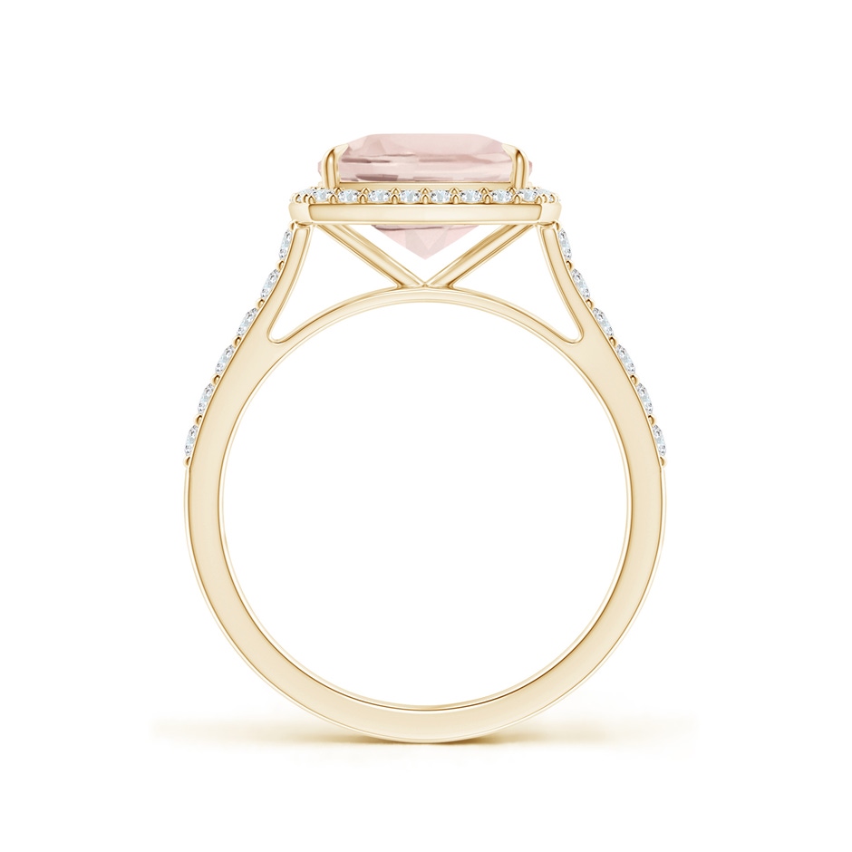 9x7mm A East-West Cushion Morganite Cocktail Halo Ring in Yellow Gold side 199