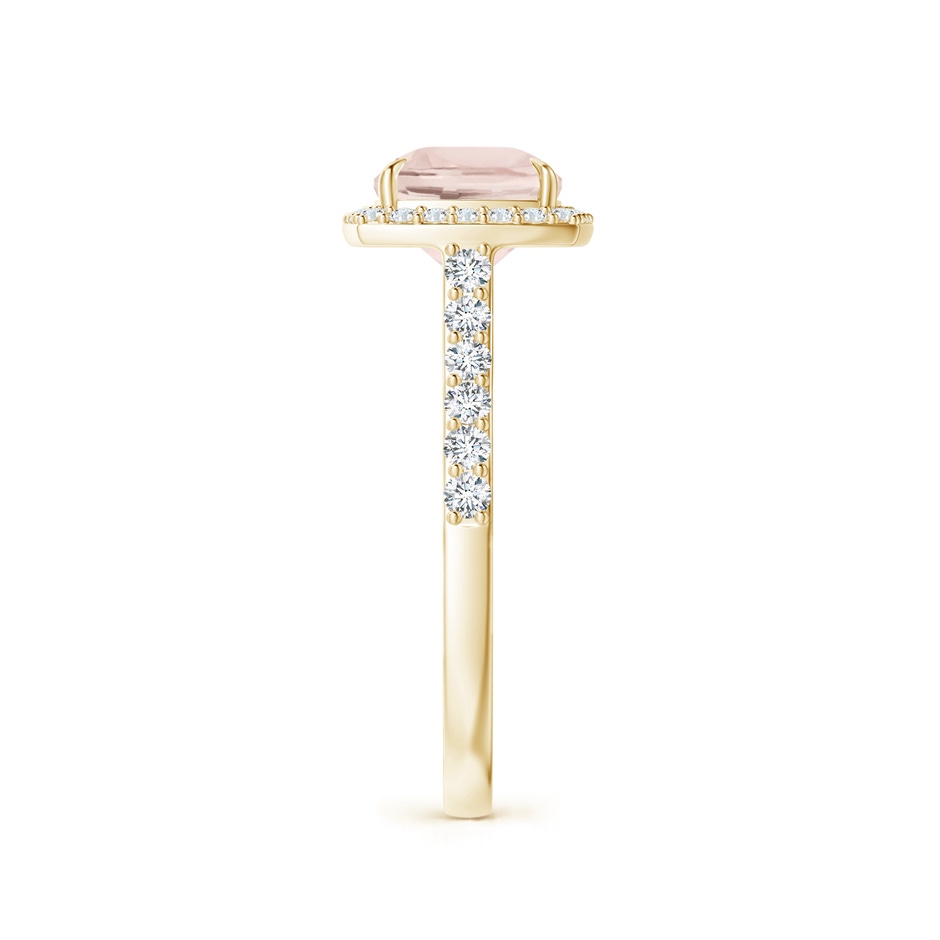 9x7mm A East-West Cushion Morganite Cocktail Halo Ring in Yellow Gold side 299