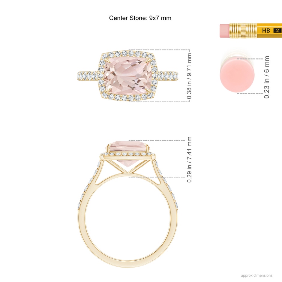 9x7mm A East-West Cushion Morganite Cocktail Halo Ring in Yellow Gold ruler