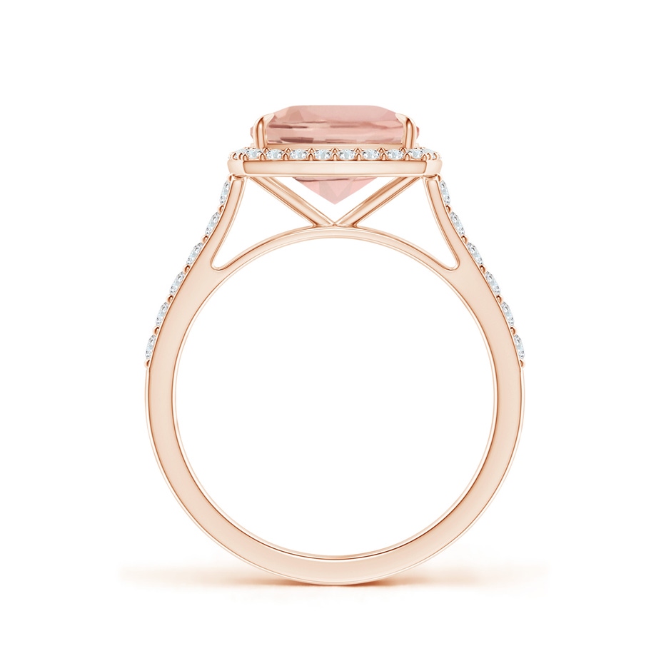 9x7mm AAA East-West Cushion Morganite Cocktail Halo Ring in Rose Gold side 199