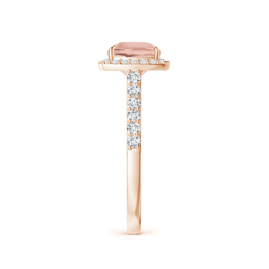 9x7mm AAA East-West Cushion Morganite Cocktail Halo Ring in Rose Gold side 299