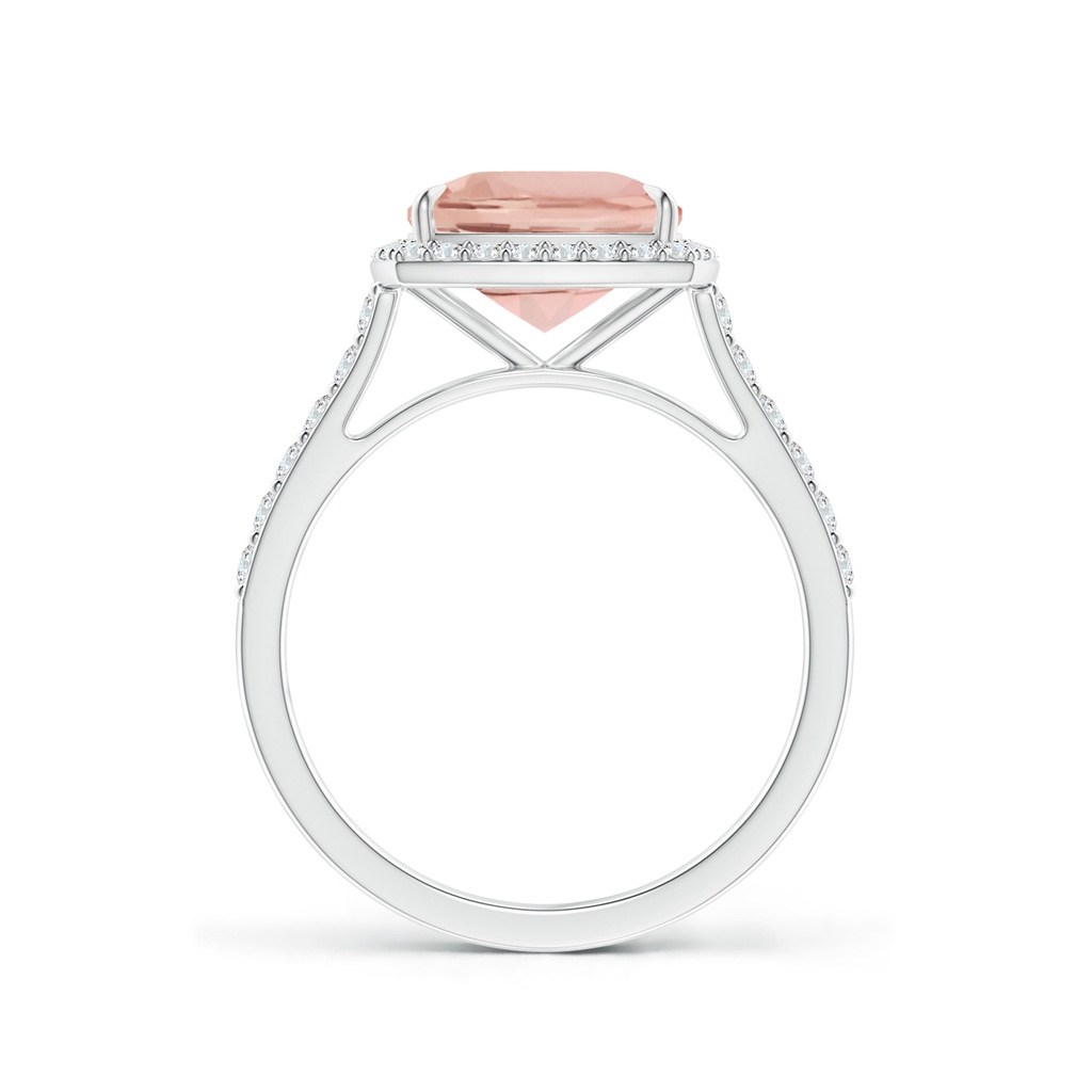 9x7mm AAA East-West Cushion Morganite Cocktail Halo Ring in White Gold - side 199