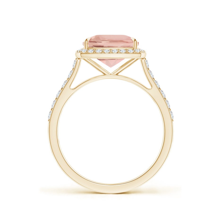 9x7mm AAA East-West Cushion Morganite Cocktail Halo Ring in Yellow Gold side 199