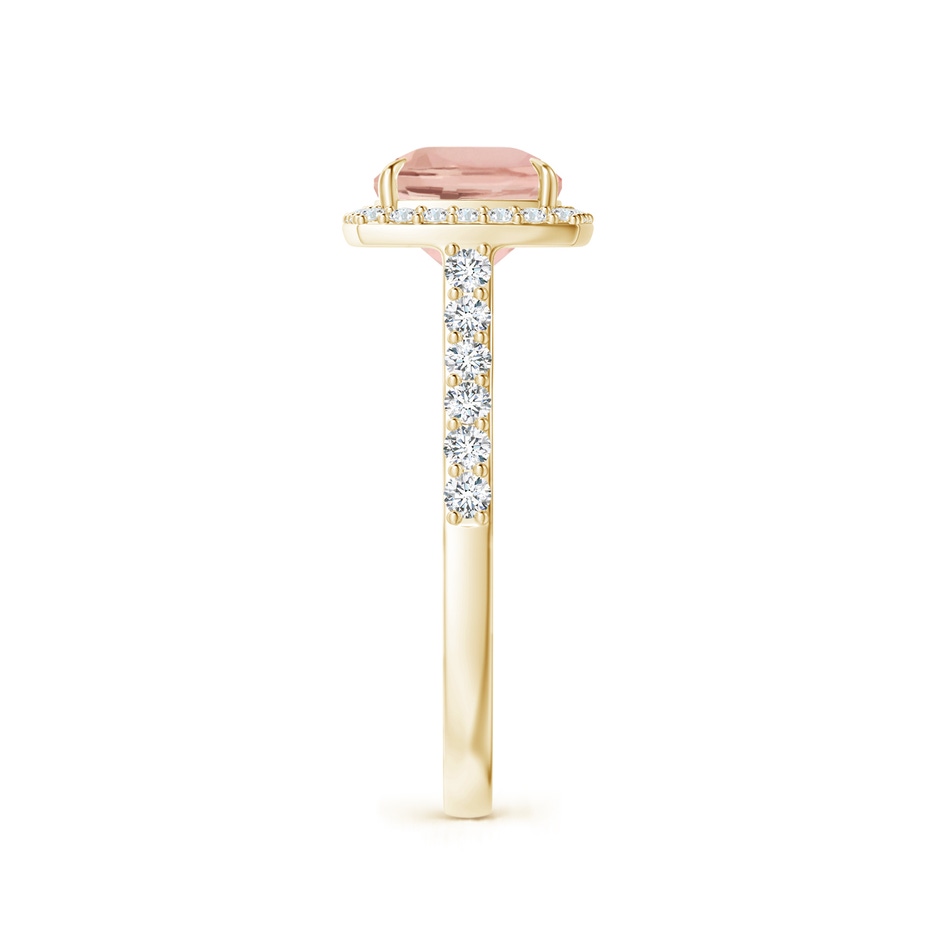 9x7mm AAA East-West Cushion Morganite Cocktail Halo Ring in Yellow Gold side 299