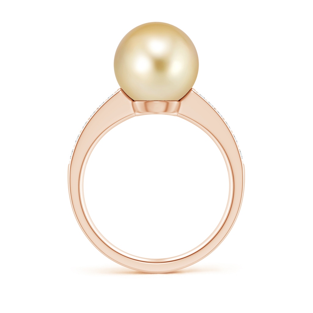 10mm AAAA Golden South Sea Pearl Reverse Tapered Shank Ring in Rose Gold Side 1