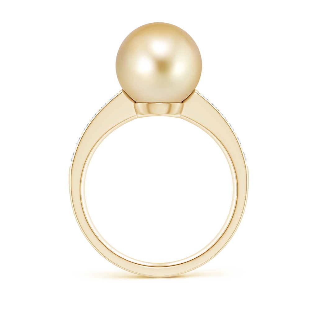 10mm AAAA Golden South Sea Pearl Reverse Tapered Shank Ring in Yellow Gold Side 1