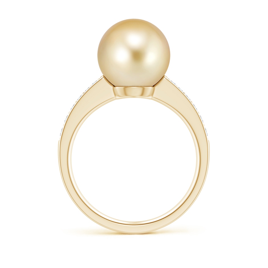 10mm AAAA Golden South Sea Pearl Reverse Tapered Shank Ring in Yellow Gold side 199