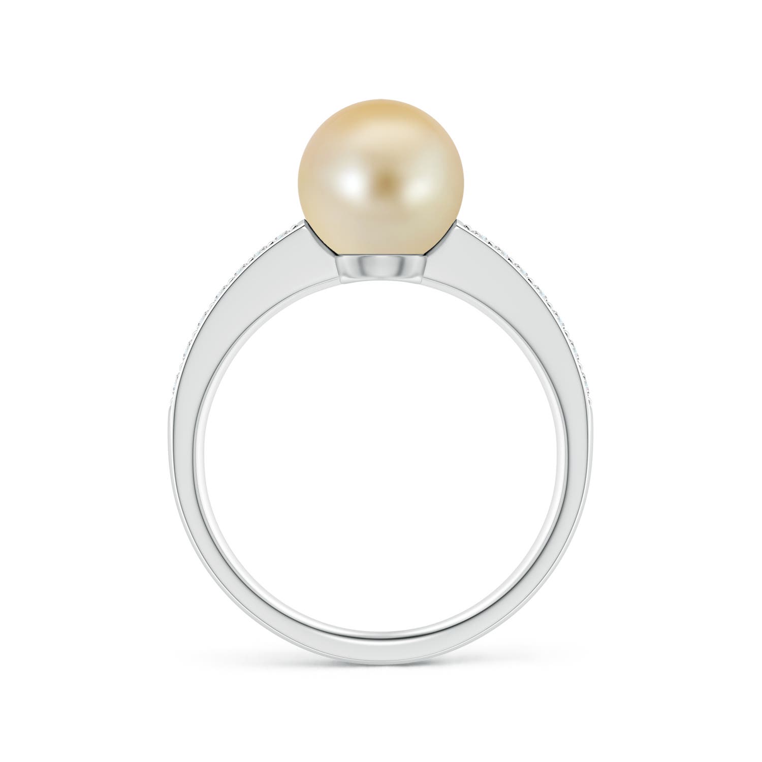8mm AAA Golden South Sea Pearl Reverse Tapered Shank Ring in White Gold - side 3