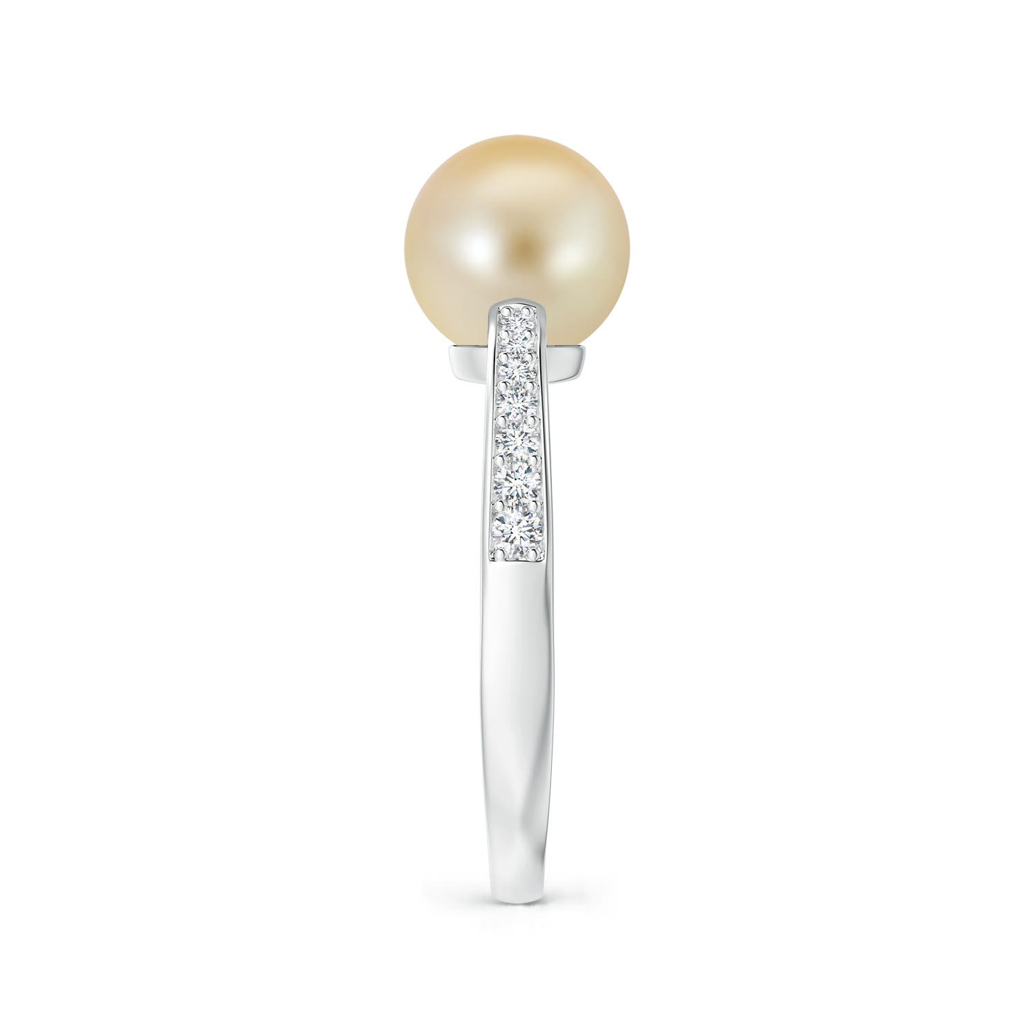 8mm AAA Golden South Sea Pearl Reverse Tapered Shank Ring in White Gold - side 5