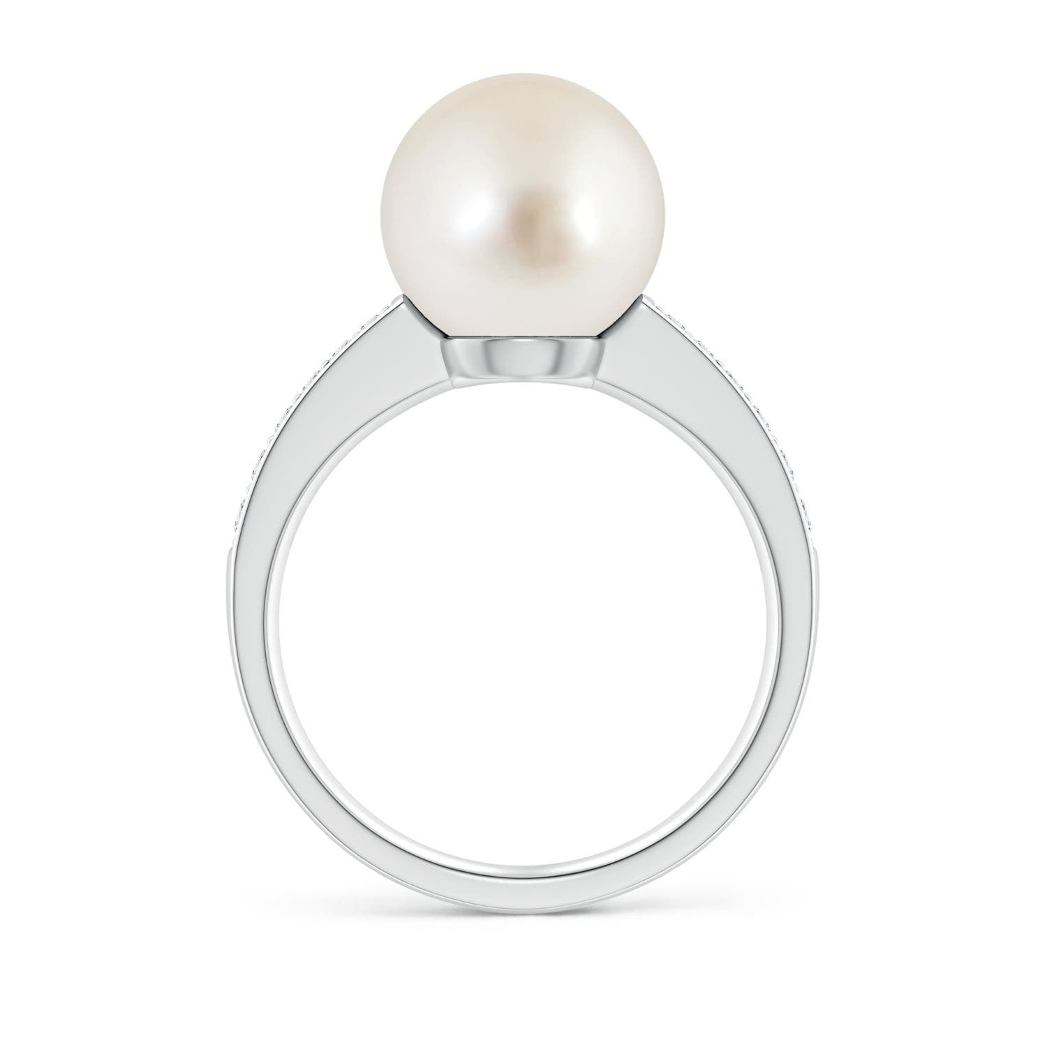 10mm AAAA South Sea Pearl Reverse Tapered Shank Ring in White Gold