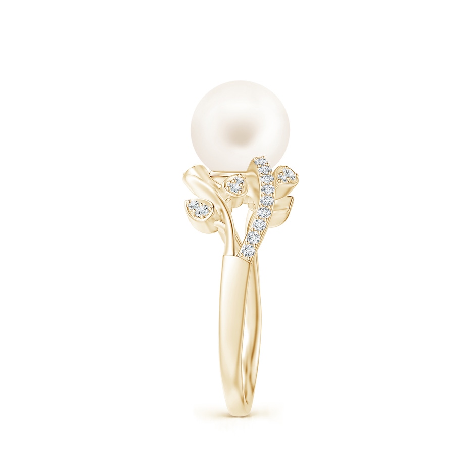 8mm AA Freshwater Pearl Olive Leaf Vine Ring in Yellow Gold side 2