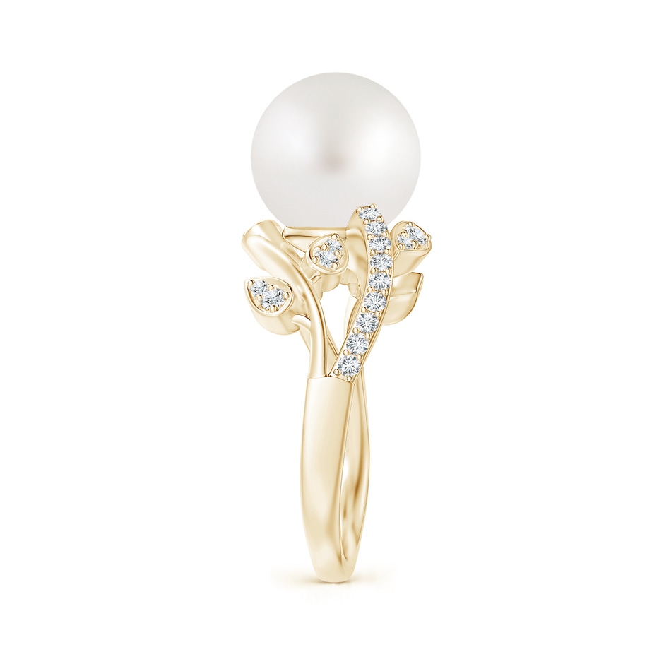 10mm AA South Sea Pearl Olive Leaf Vine Ring in Yellow Gold side 2