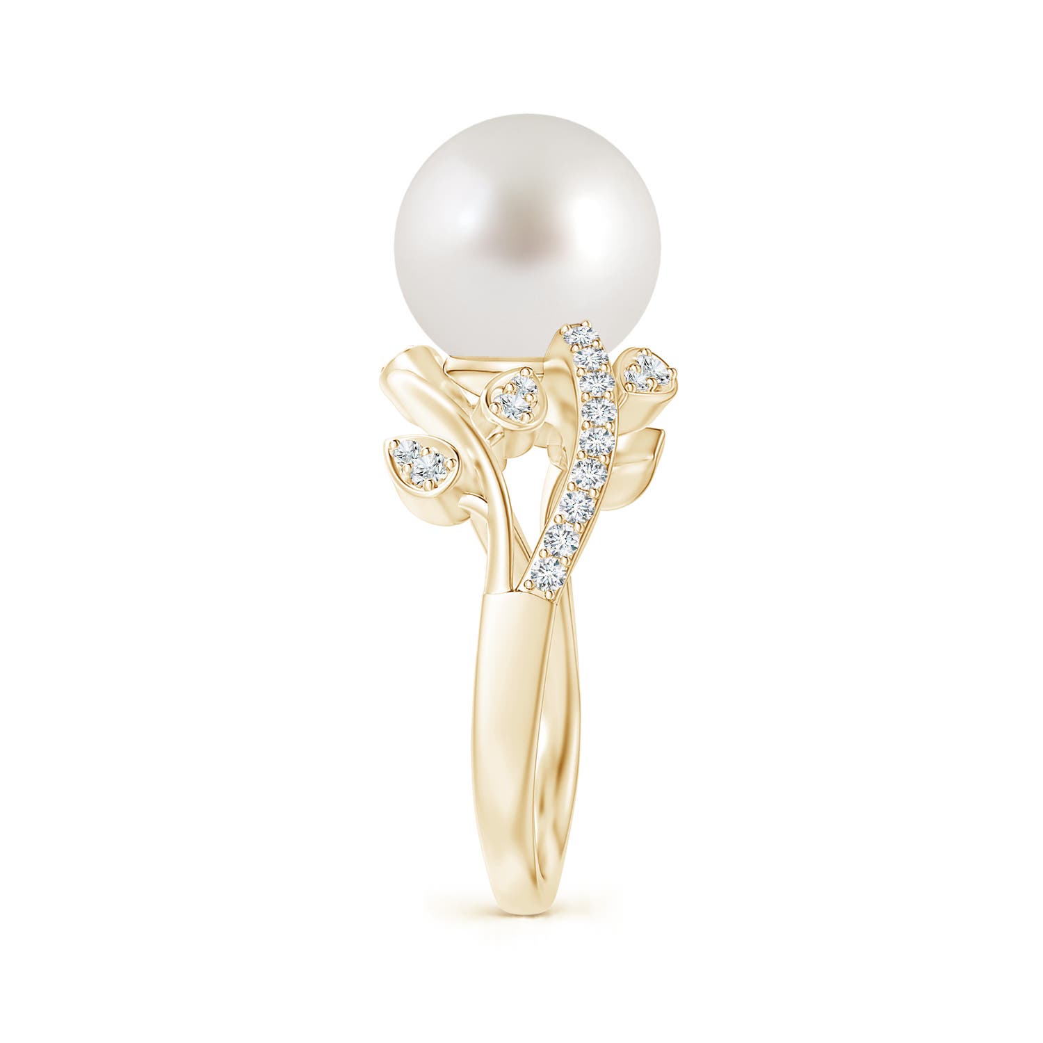 10mm AAA South Sea Pearl Olive Leaf Vine Ring in Yellow Gold - side 5