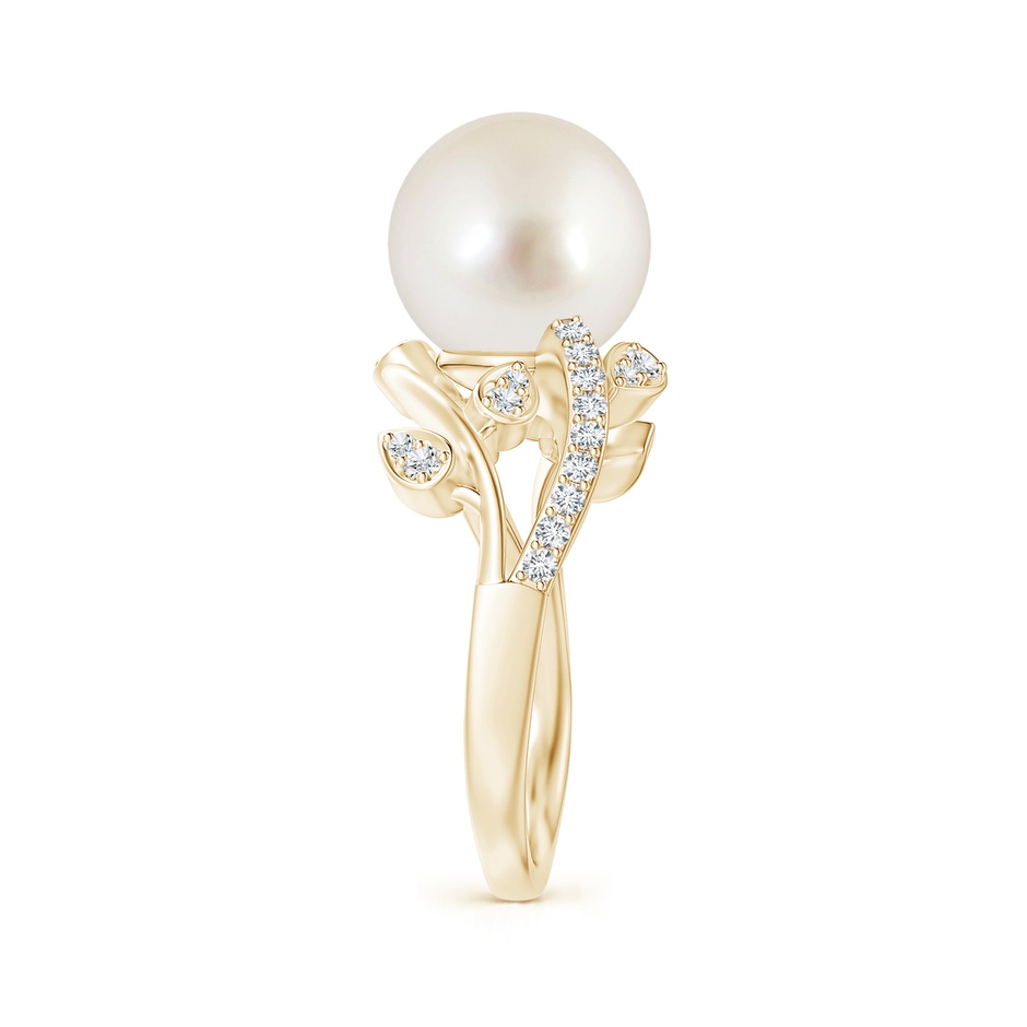 10mm AAAA South Sea Pearl Olive Leaf Vine Ring in Yellow Gold side 2