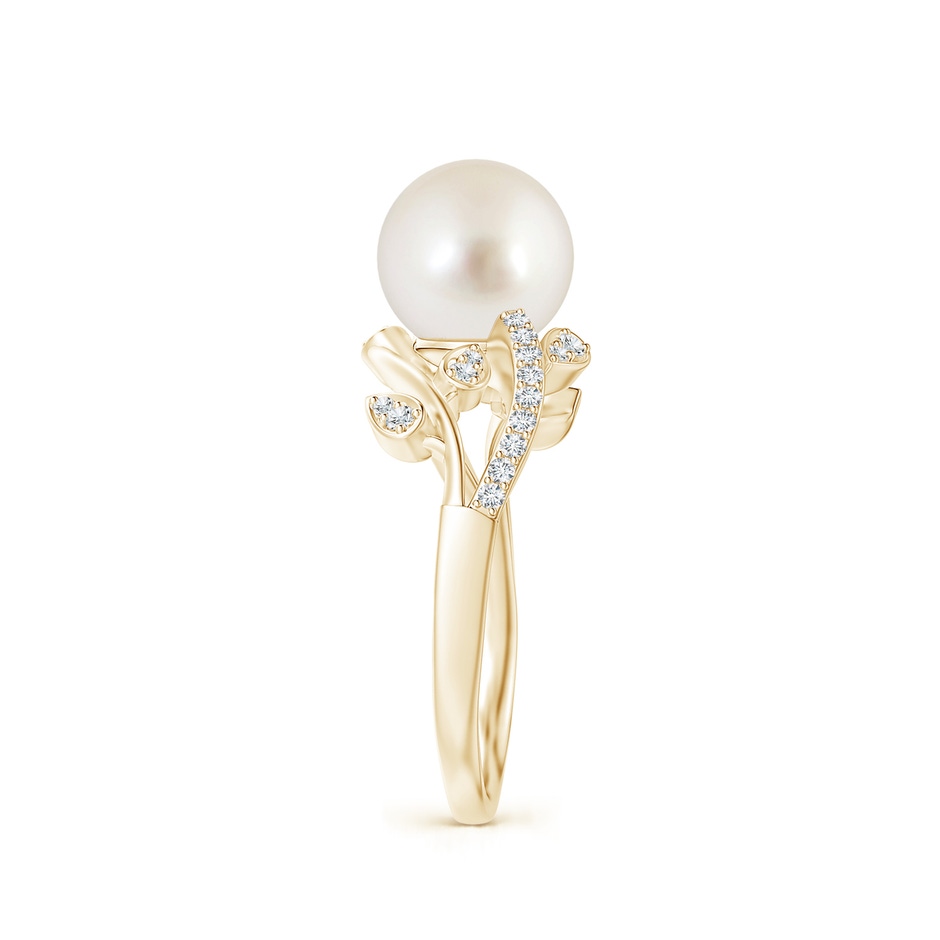8mm AAAA South Sea Pearl Olive Leaf Vine Ring in Yellow Gold side 2