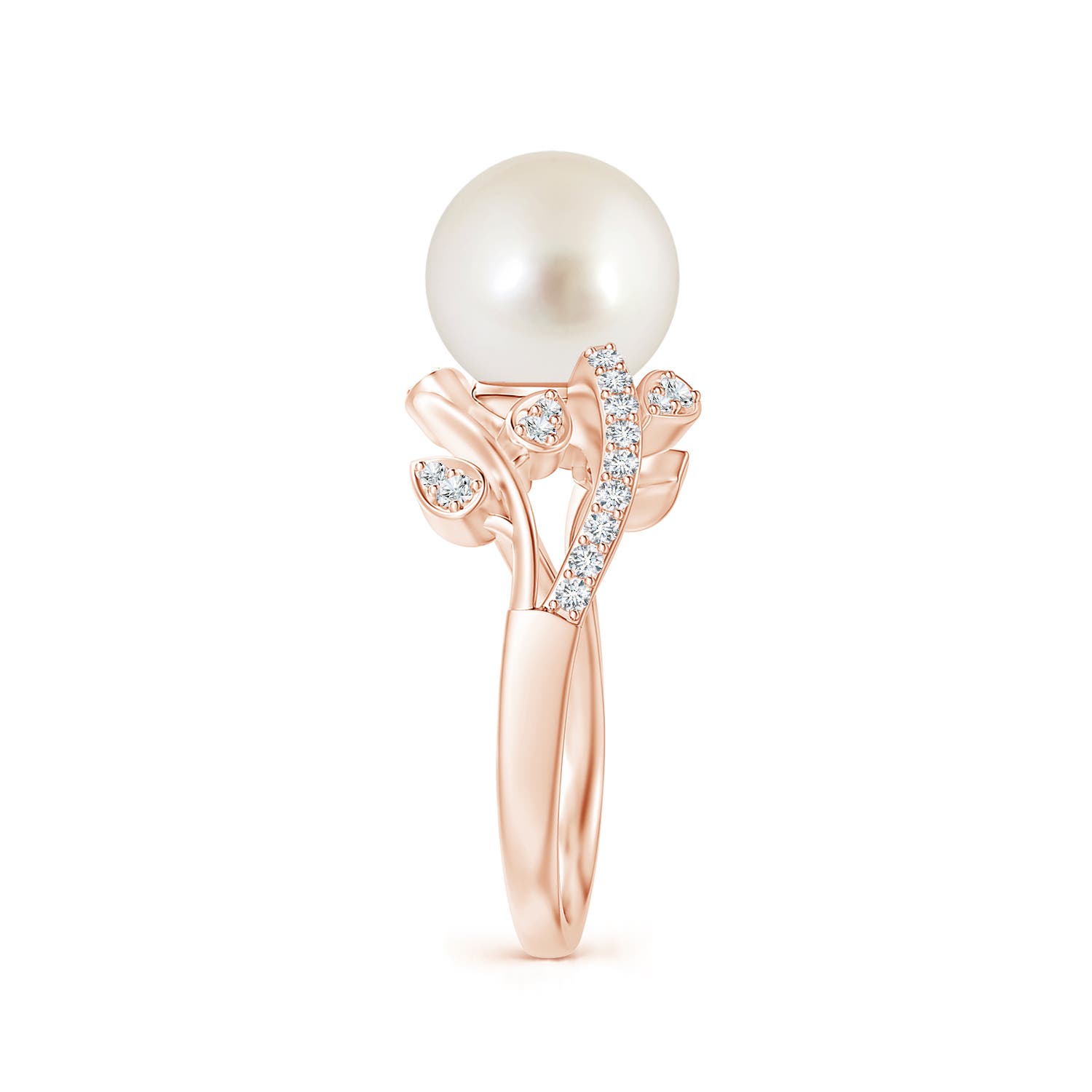 9mm AAAA South Sea Pearl Olive Leaf Vine Ring in Rose Gold - side 5