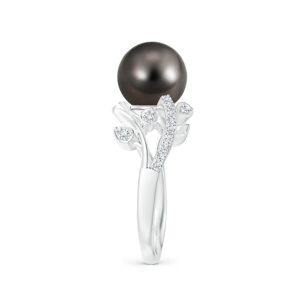 9mm AAA Tahitian Pearl Olive Leaf Vine Ring in White Gold Side 2