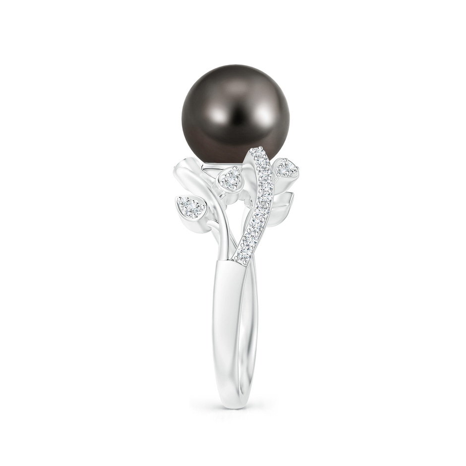 9mm AAA Tahitian Pearl Olive Leaf Vine Ring in White Gold side 2