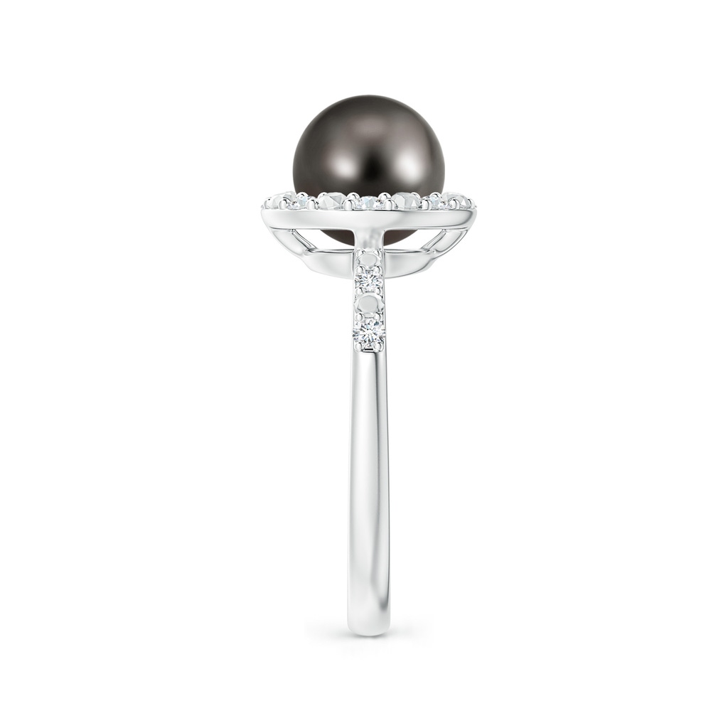 8mm AAA Classic Tahitian Pearl and Diamond Halo Ring in White Gold Side 2