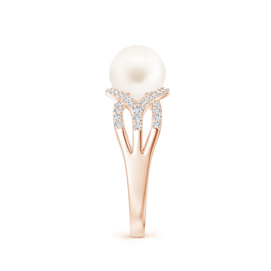8mm AA Freshwater Pearl Criss-Cross Shank Ring in Rose Gold side 2