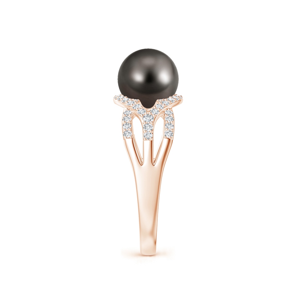 8mm AAA Tahitian Pearl Criss-Cross Shank Ring in Rose Gold Side 2