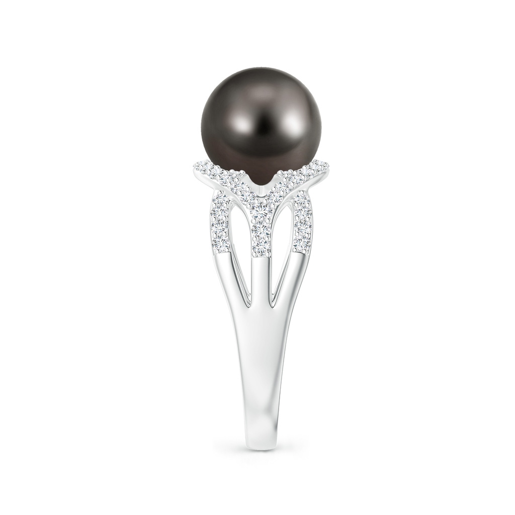 9mm AAA Tahitian Pearl Criss-Cross Shank Ring in White Gold Side 2
