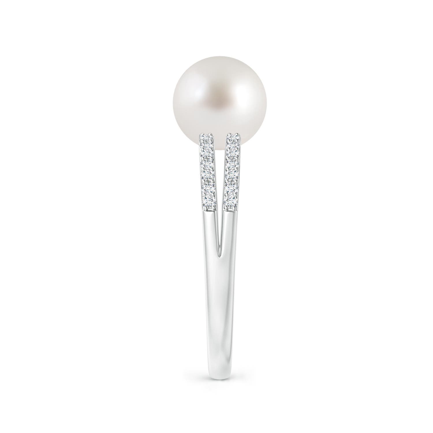 8mm AAA South Sea Pearl Double Shank Ring in White Gold - side 2