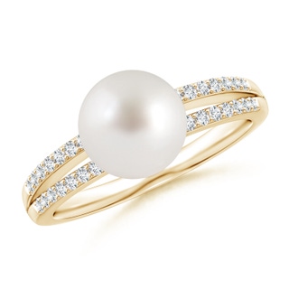 8mm AAA South Sea Pearl Double Shank Ring in Yellow Gold