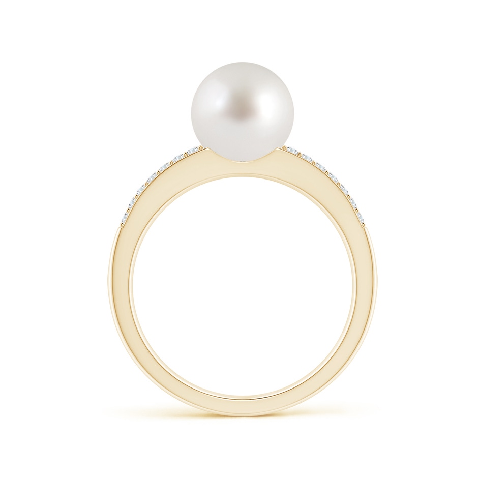 8mm AAA South Sea Pearl Double Shank Ring in Yellow Gold side 1