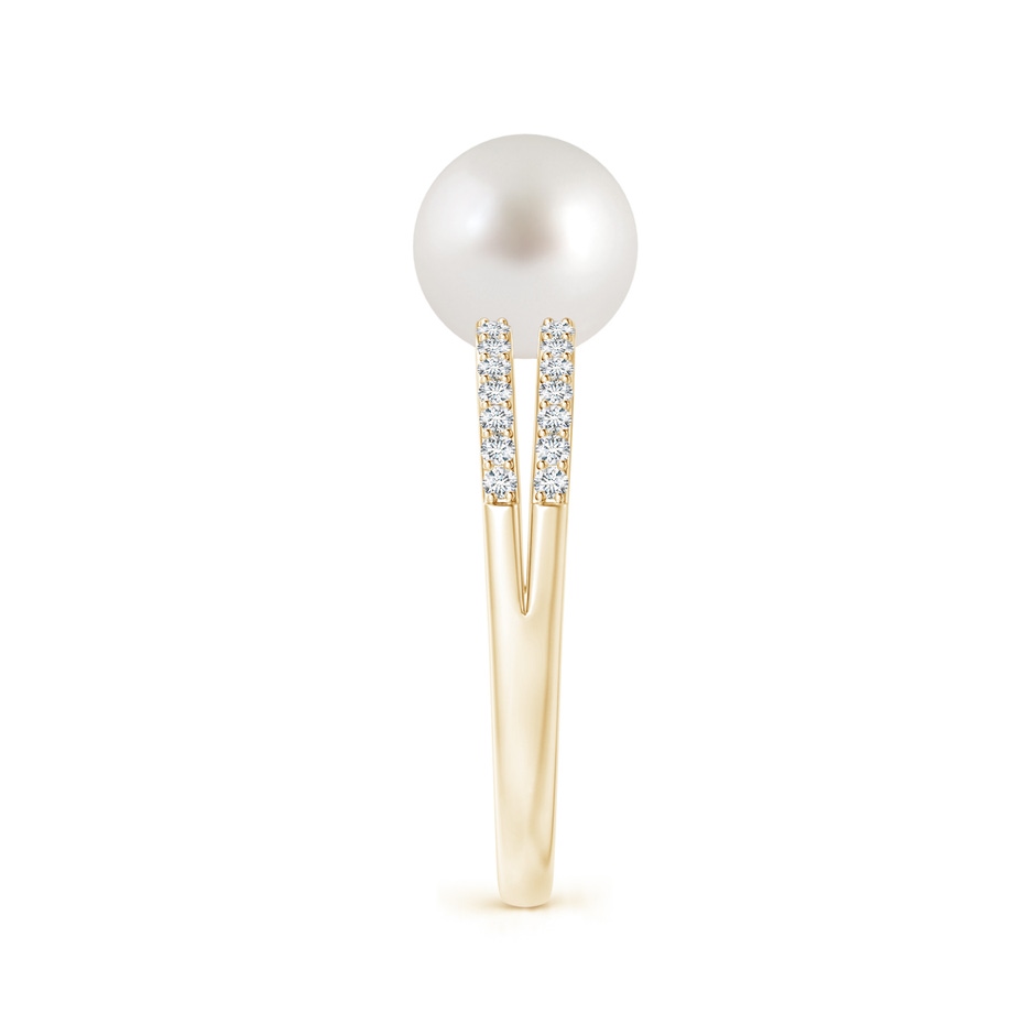 8mm AAA South Sea Pearl Double Shank Ring in Yellow Gold side 2